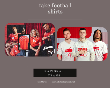 fake Switzerland football shirts 23-24